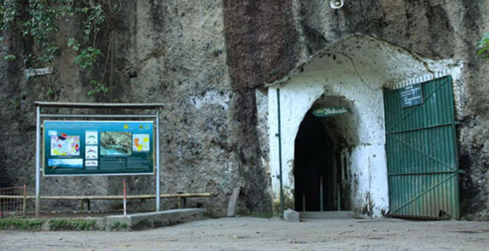 Tahura Dago Bandung Taman Hutan Raya Juanda