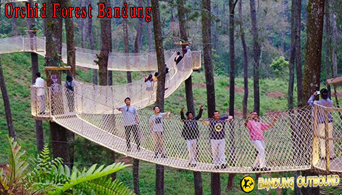 Orchid Forest Bandung 