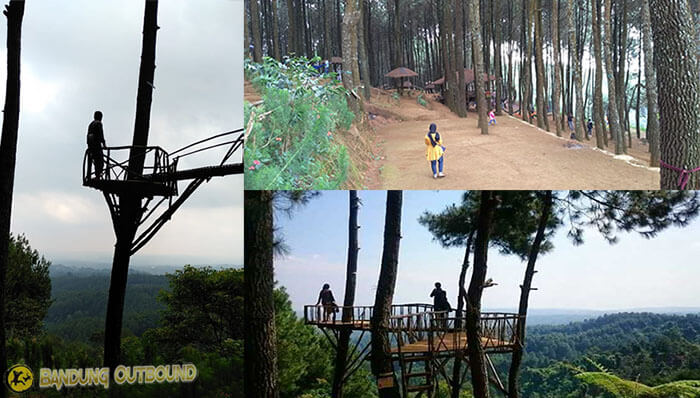 Bukit Senyum Cikalong Wetan