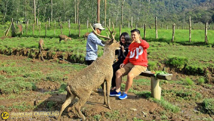 Ranca-Upas-Ciwidey